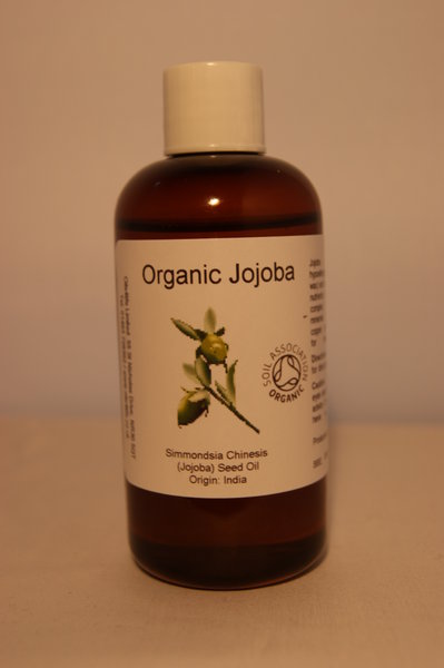 معرفی و راهنمای پرورش درختان میوه - جوجوبا